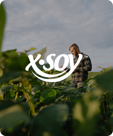 X·SOY