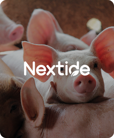 Nextide